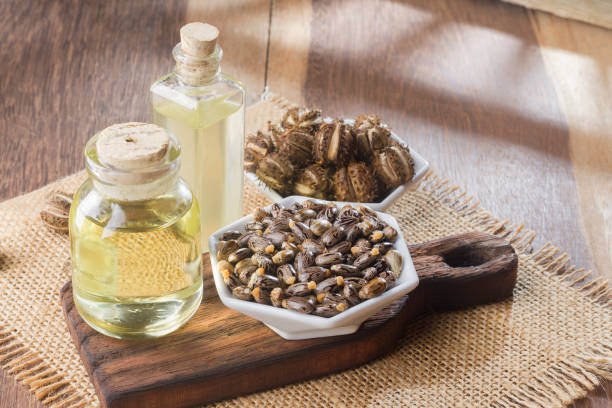 istock seeds and castor oil 971064092
