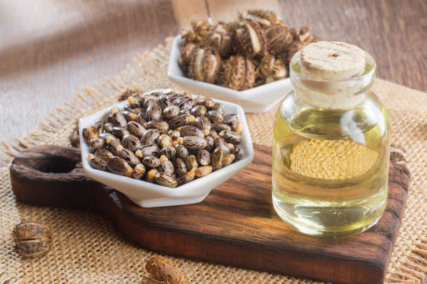 istock seeds and castor oil 971064568