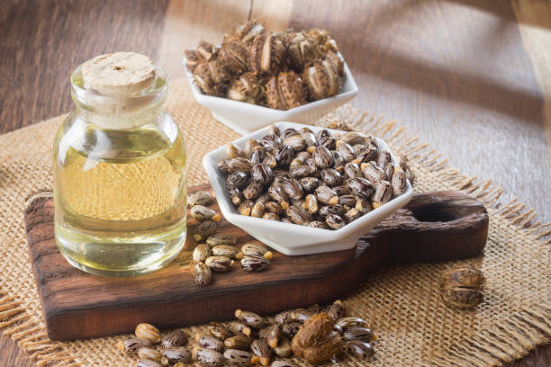 istock seeds and castor oil 971064654