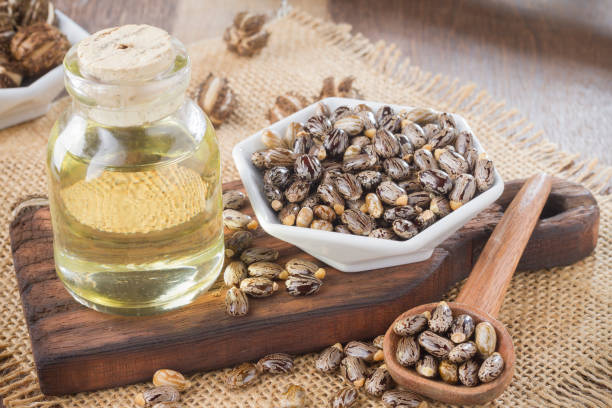 istock seeds and castor oil 971064656