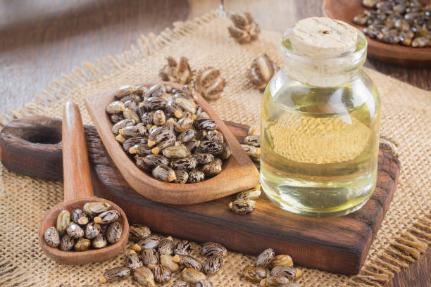 istock seeds and castor oil 971064758
