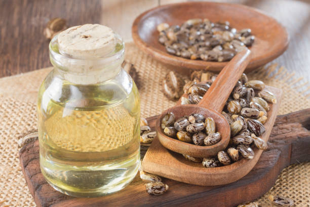 istock seeds and castor oil 971064910