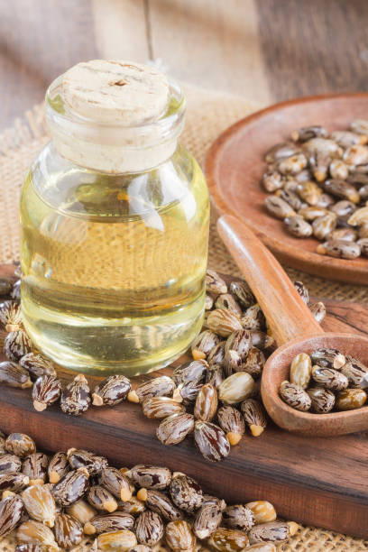 istock seeds and castor oil 971067086