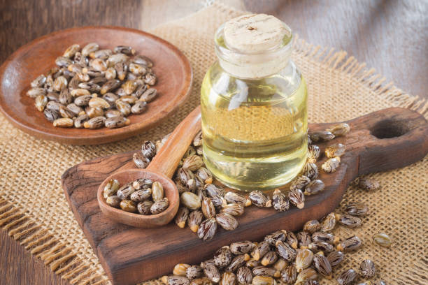 istock seeds and castor oil 971067088