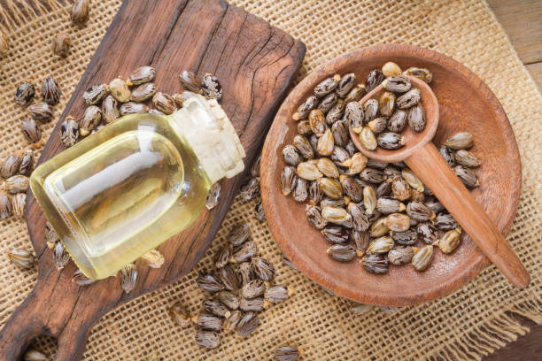 istock seeds and castor oil 971067346
