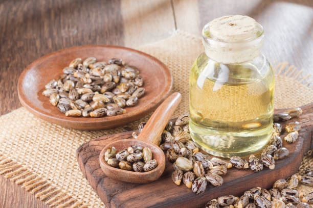 istock seeds and castor oil 971067348