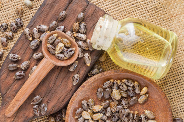 istock seeds and castor oil 971067616