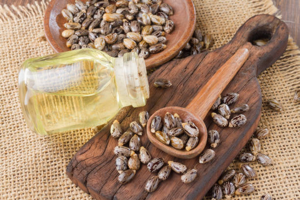 istock seeds and castor oil 971067628