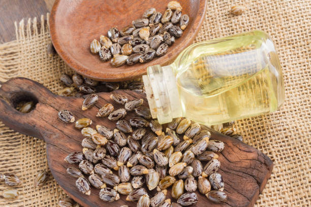 istock seeds and castor oil 971067758