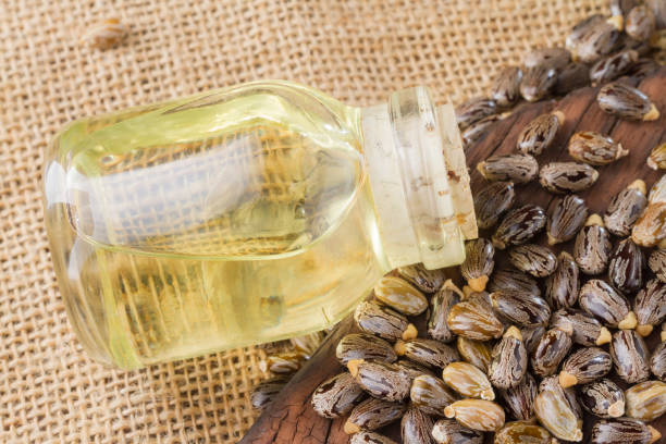 seeds and castor oil