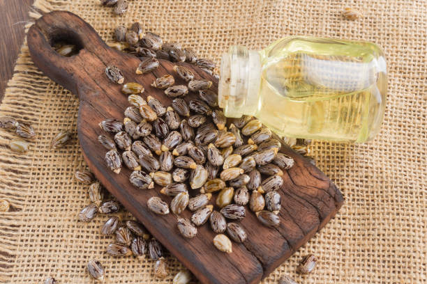 istock seeds and castor oil 971067844