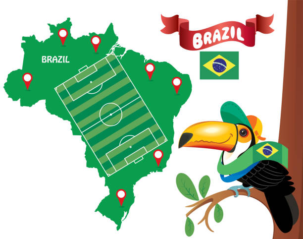 브라질리안 큰부리새 - santos stock illustrations
