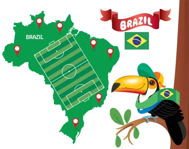 Vector illustration of Brazilian Toucan