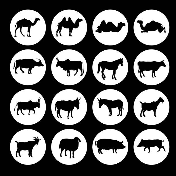 zestaw ikon zwierząt gospodarskich - nowt stock illustrations