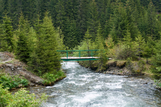istock Wooden bridge over a creek 971105062