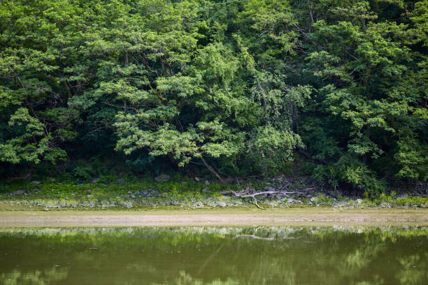 170+ Olt Fotos Fotografías de stock, fotos e imágenes libres de