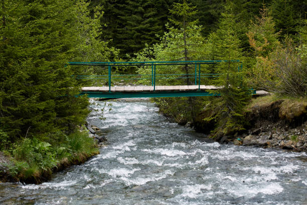istock Wooden bridge over a creek 971105370