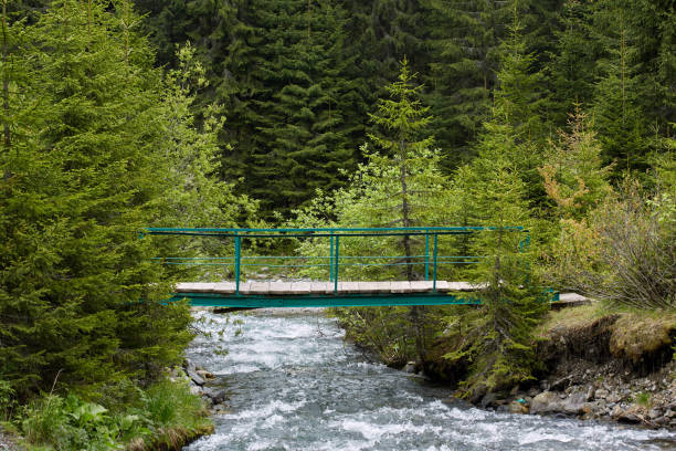 istock Wooden bridge over a creek 971105372