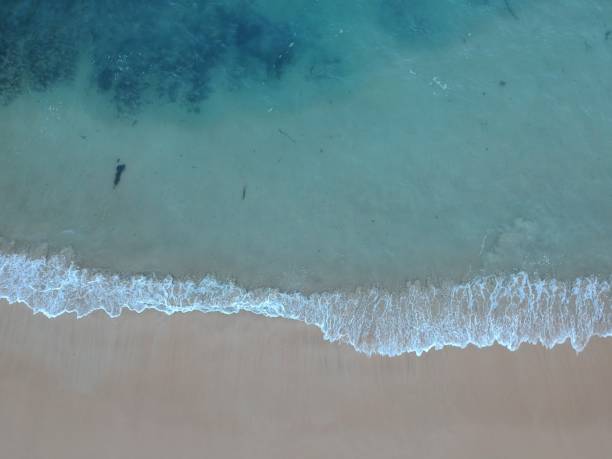 istock Sea Meets Land 971144856