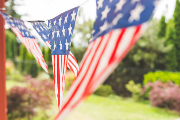 istock Stars and Stripes Forever 971162758