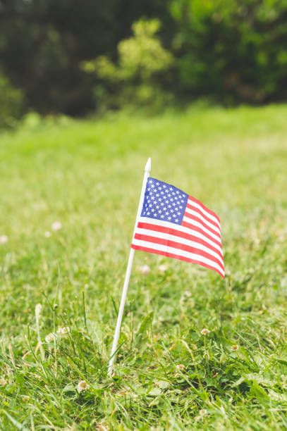 istock Stars and Stripes Forever 971162796
