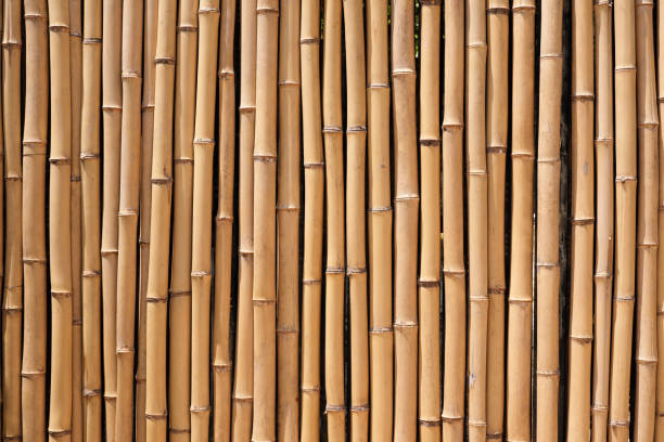 istock Bamboo wood fence natural background texture 971165686