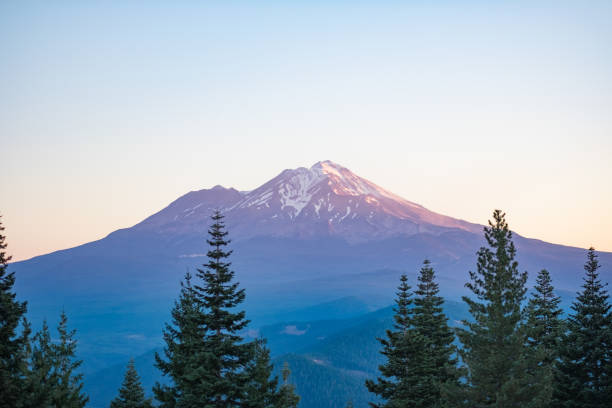 Mount Shasta with trees in front - multi-color Mount Shasta with trees in front - multi-color mt shasta stock pictures, royalty-free photos & images