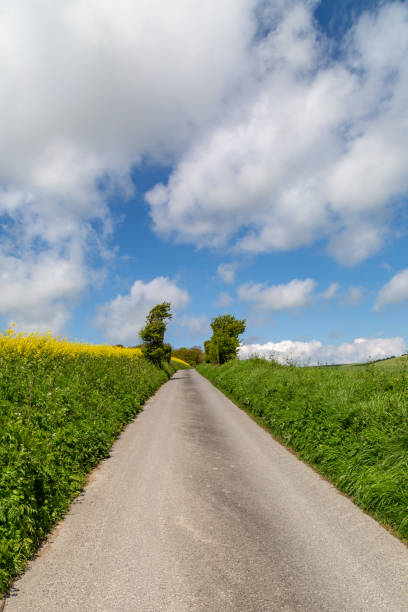 istock A Country Road 971169050