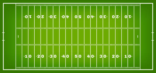 American football field with marking. Football field in top view with white markup American football field with marking. Football field in top view with white markup. Vector pics for football graphics stock illustrations