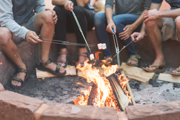 istock Smores by the campfire 971169362