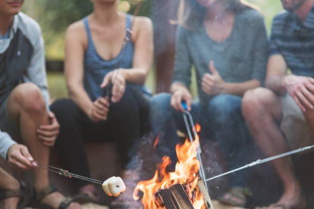 istock Smores by the campfire 971169366