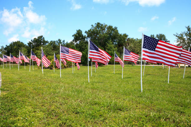 istock Patriotic display of multiple large American flags 971184590