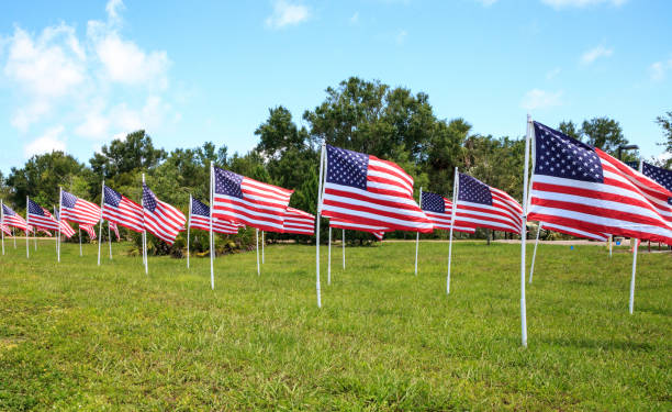 istock Patriotic display of multiple large American flags 971184642