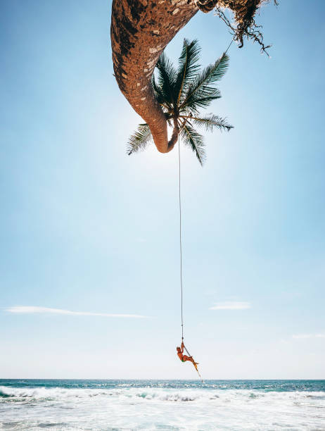 istock Little boy dangles on tropical palm tree swing, Sri Lanka beach 971198678