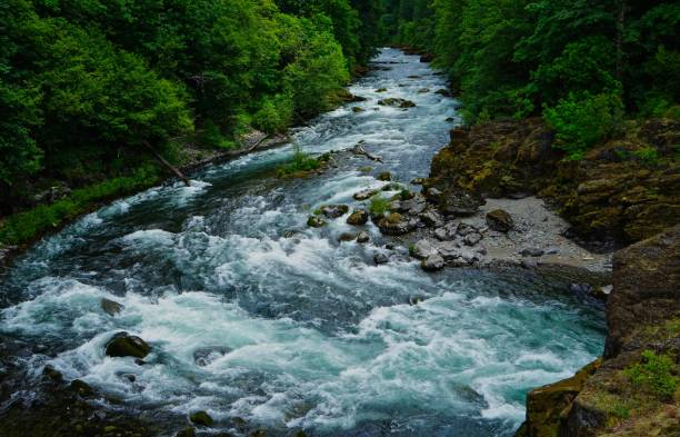istock North Santiam River Pure 971230208