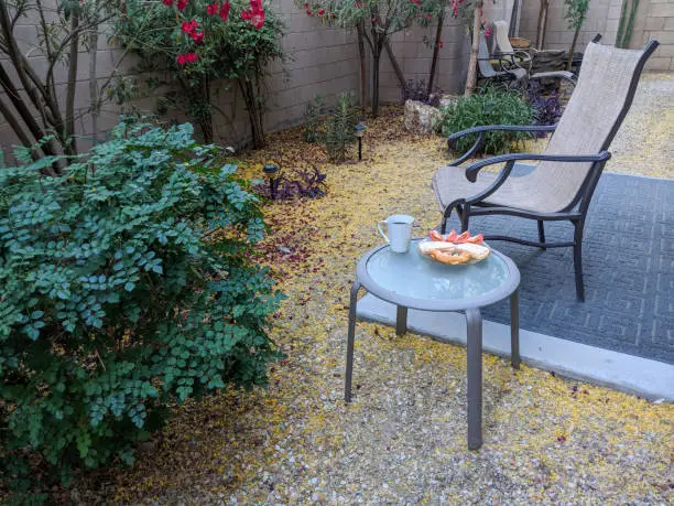 Outdoor breakfast in Arizona desert style xeriscaped backyard with crisp fresh air in early Spring morning