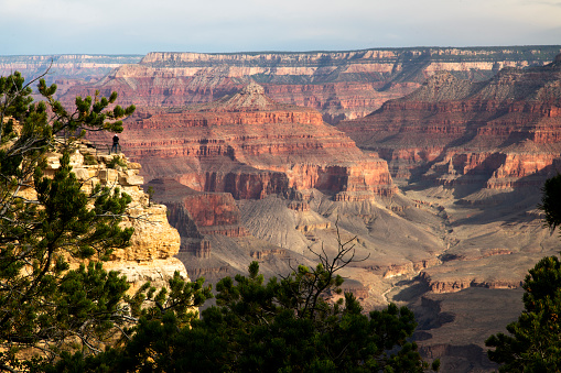 A view of the Grand Canyon from the south rim.