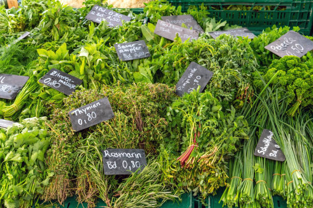 Different kinds of fresh herbs Different kinds of fresh herbs for sale at a market majoran stock pictures, royalty-free photos & images