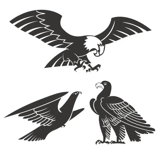 Vector illustration of Eagle patterns collection