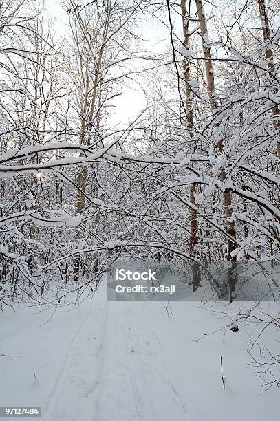겨울맞이 임산 0명에 대한 스톡 사진 및 기타 이미지 - 0명, 겨울, 계절