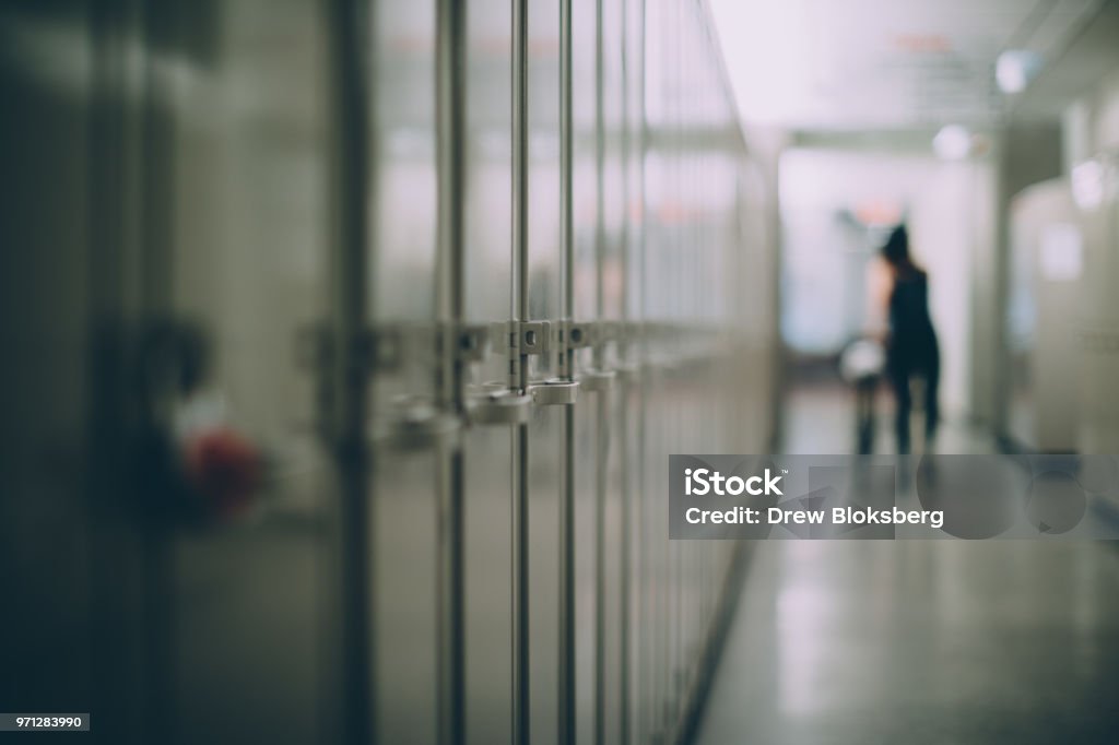 Lockers in a Hallway Closed lockers in a school hallway School Building Stock Photo