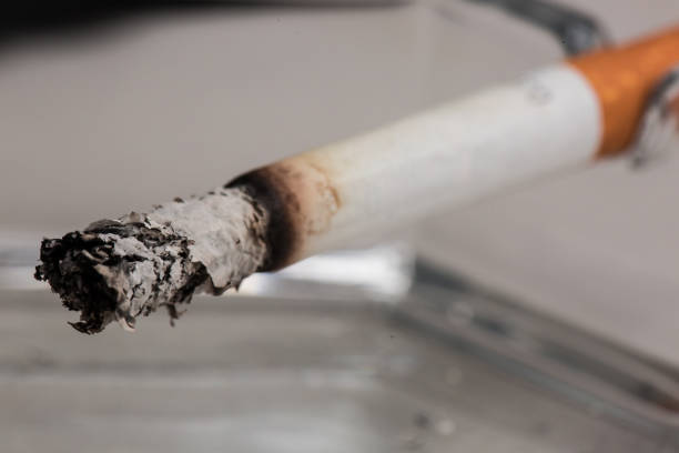 istock Burning cigarette with smoke and concept of cigarettes 971289844
