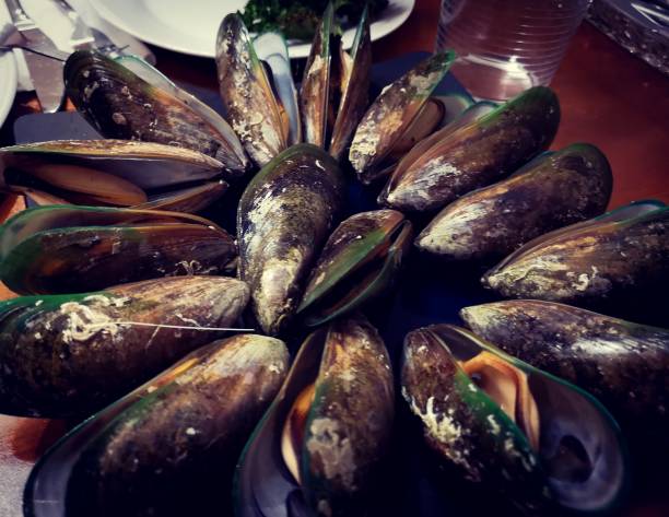 Fresh Cooked Mussels-top views