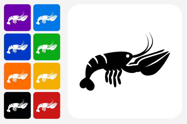 омар значок квадратный кнопка установить - crayfish stock illustrations