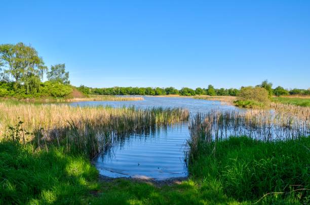 istock Beautiful rural landscape. 971328890