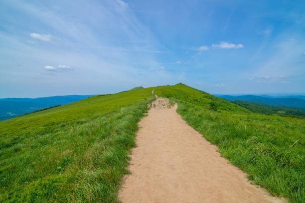 istock Beautiful Polonina Wetlinska mountain trail 971332484