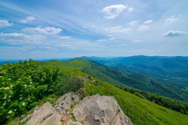 istock Beautiful Polonina Wetlinska mountain trail 971332556