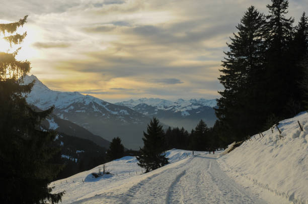 chemin en hiver - philippe dougoud photos et images de collection