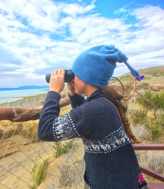 istock The calafate 971338022