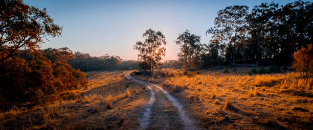 coucher du soleil du bush australien - australian landscape photos et images de collection